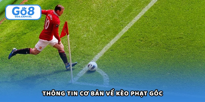 Thông tin cơ bản tân thủ cần nắm về kèo phạt góc
