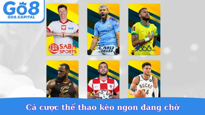 Cá cược thể thao kèo ngon đang chờ