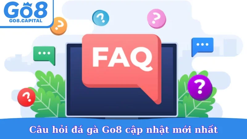 Câu hỏi đá gà Go8 cập nhật mới nhất